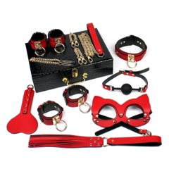 Luxury набір BDSM з чемоданом для зберігання 
